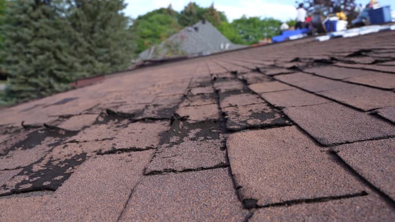 Best Asphalt Shingle Roofing  in Buellton, CA