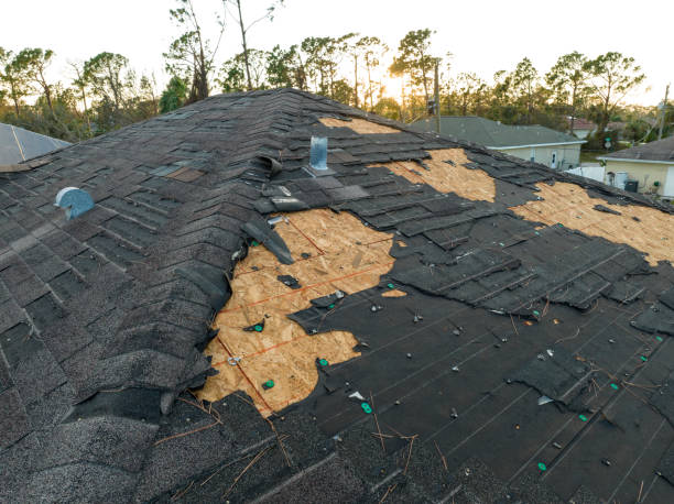 Best Roof Insulation Installation  in Buellton, CA