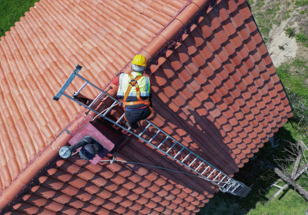 Best Roof Maintenance and Cleaning  in Buellton, CA